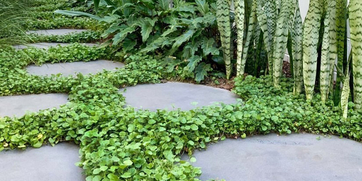 Avatar bluestone stepping stones