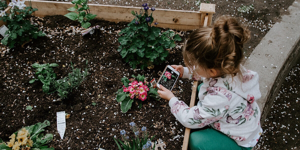 KidFriendlyGarden Armstone